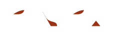 Ginga Moda RN